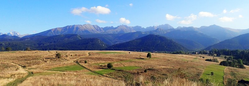 Zakopane wierch Bachledzki z psem